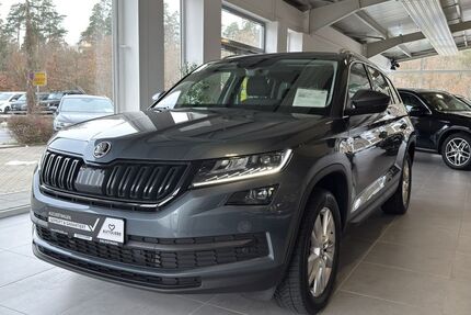 Skoda Kodiaq 74.462 km 27.950 € Wendelstein 90530