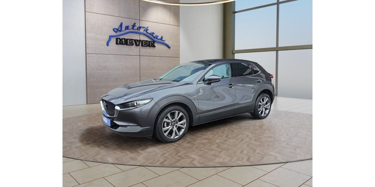 Mazda CX-30 81.654 km 20.800 &euro; Hohenwarsleben bei Magdeburg 39326