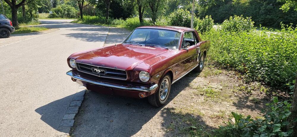 Mustang