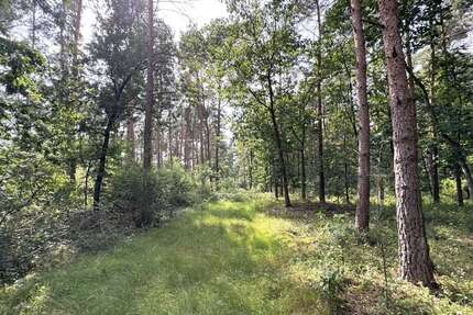 Grundstück in Wardenburg 74.000 € 27293 m² zimmer