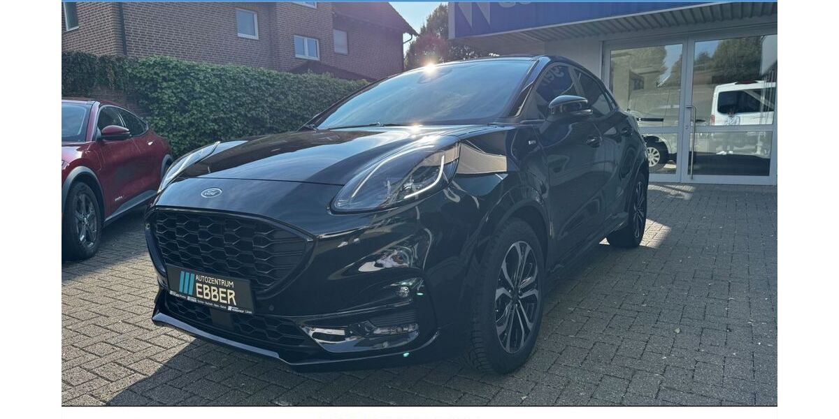 Ford Puma 38.113 km 20.972 &euro; Borken 46325