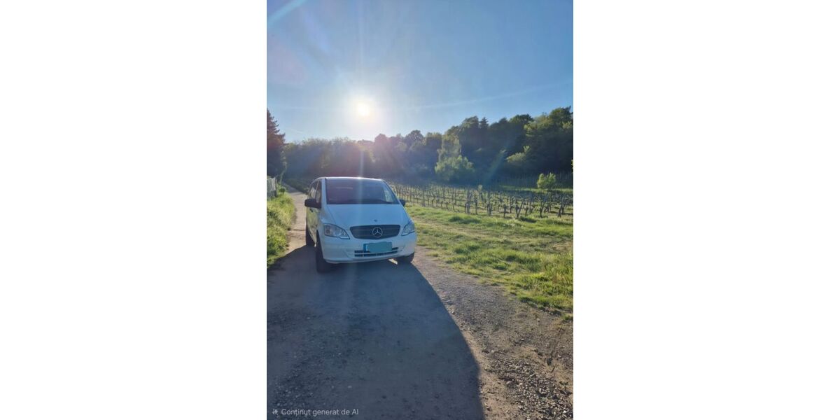 Mercedes-Benz Vito 280.000 km 11.800 &euro; Bad Dürkheim 67098