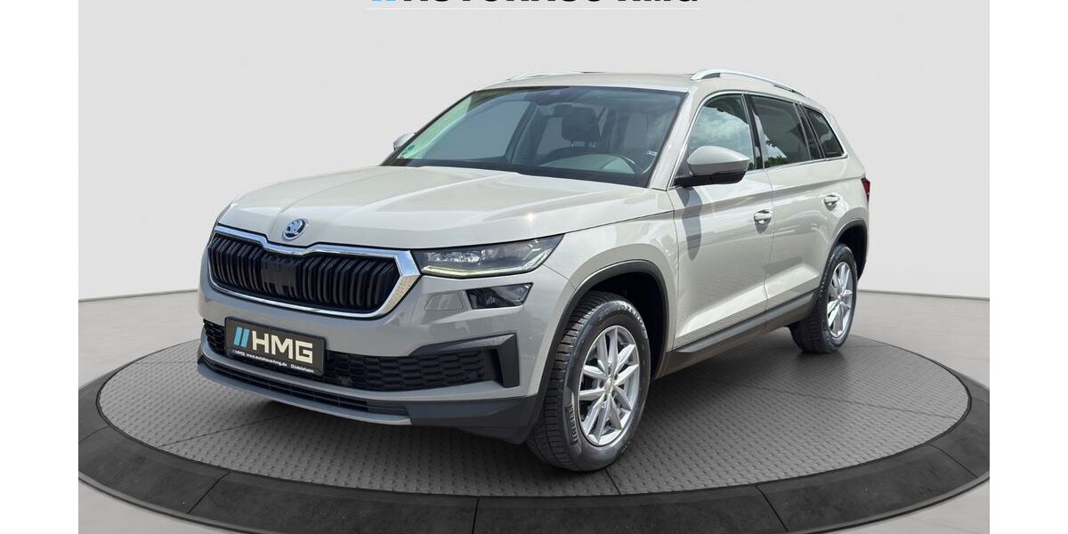Skoda Kodiaq 200.000 km 19.900 &euro; Büdingen-Düdelsheim 63654