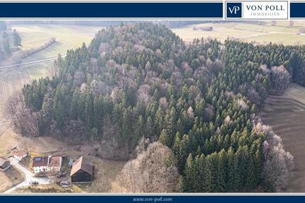 Lebensraum Wald: Fichte, Buche und Lärche in Generationen gewachsen - Grundstück Waldmünchen / Untergrafenried Untergrafenried | Angebot:26531345