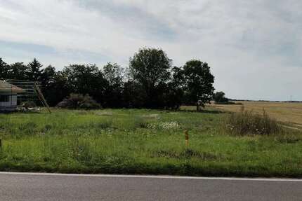 Grundstück Groß Pinnow Groß Pinnow - 28.000&euro; | Angebot:18394361