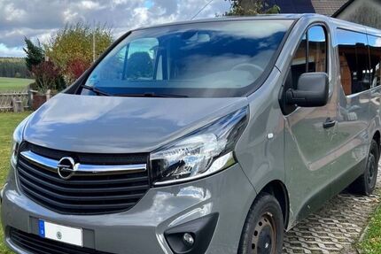 Opel Vivaro 96.000 km 16.900 &euro; Schneeberg 08289