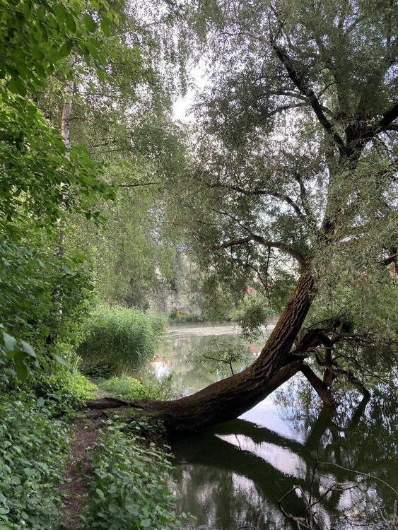 Privatverkauf Grundstück für EFH mit Seeblick