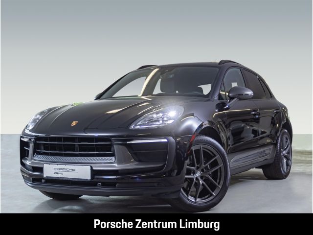 Macan