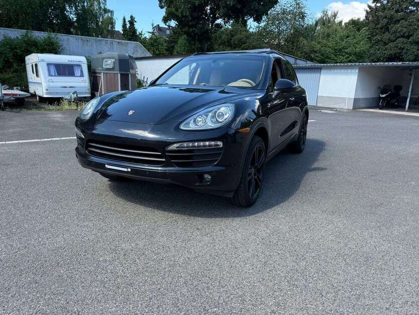 Cayenne
