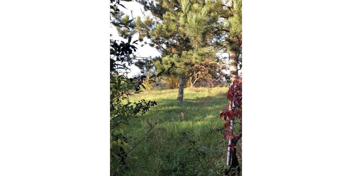 Einfamilienhaus Querfurt - 5 Zimmer, 123 m&sup2;, 59.000&euro; | Angebot:25201437