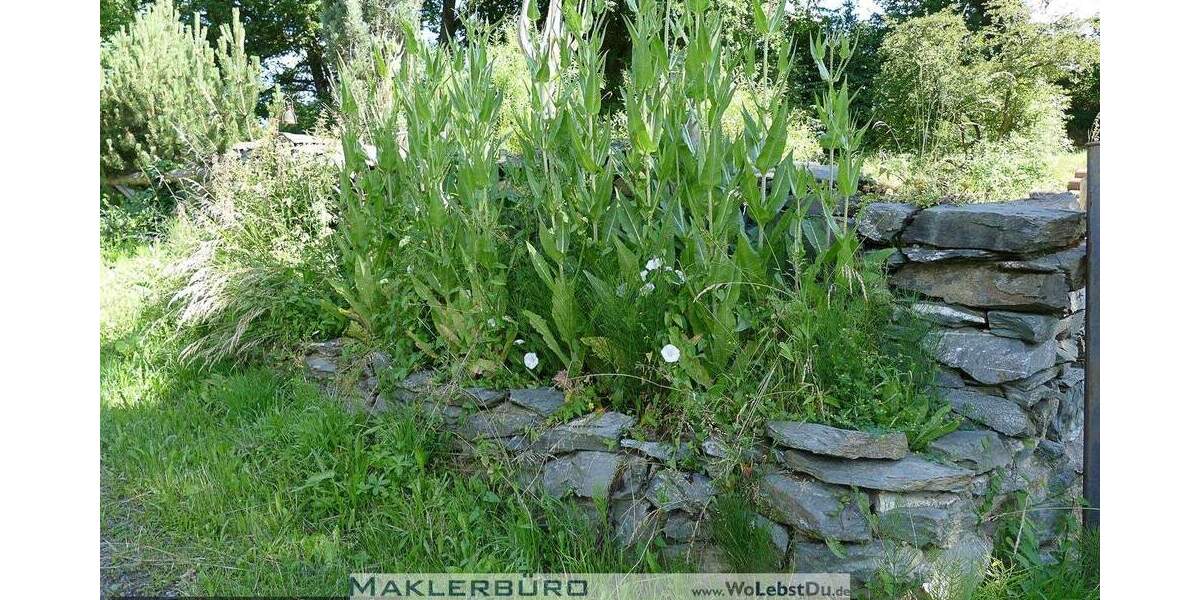 Grundstück Greiz Hohndorf - 47.000&euro; | Angebot:19293223