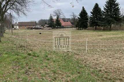 Grundstück Saadow Saadow - 25.000&euro; | Angebot:23999162