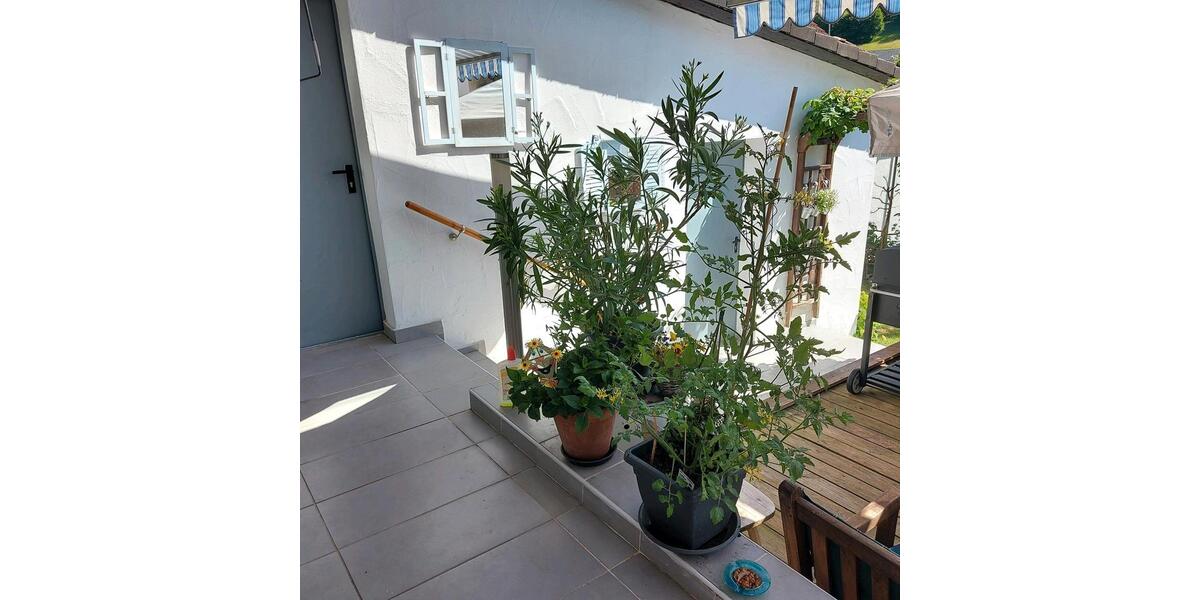 Einfamilienhaus Aschaffenburg Österreicher Kolonie - 7 Zimmer, 180 m&sup2;, 320.000&euro; | Angebot:25964686