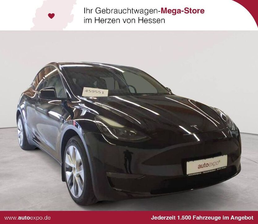 Model Y