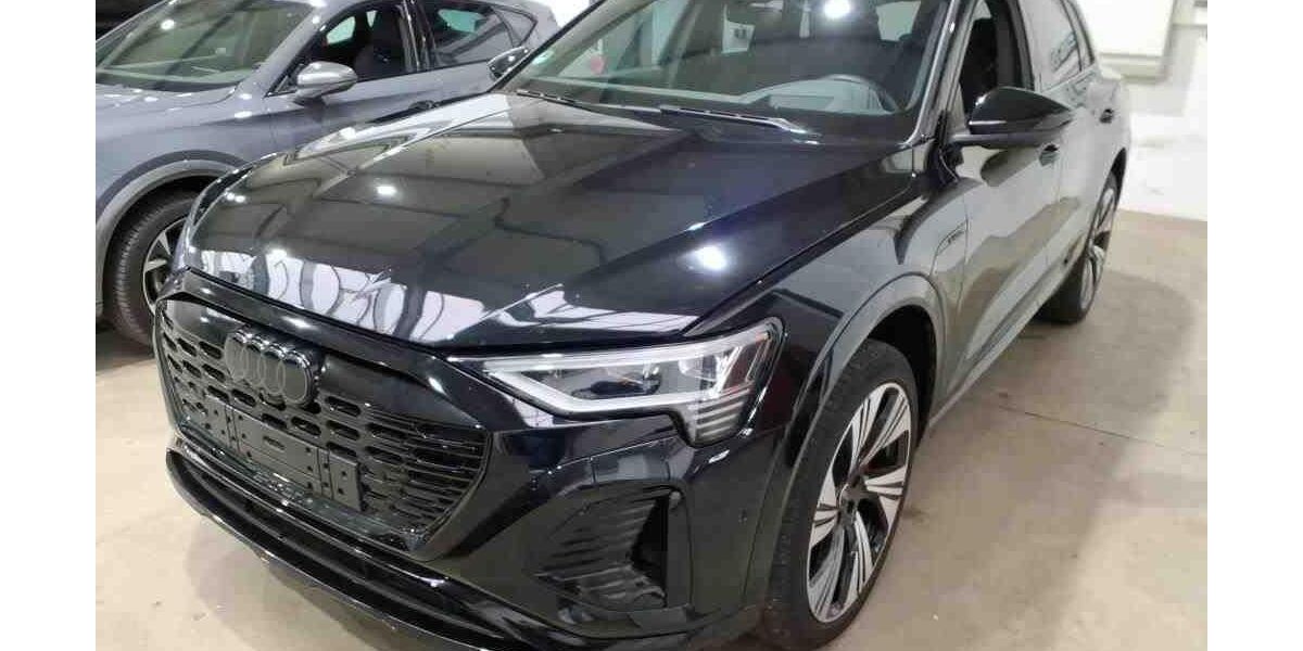 Audi Q8 e-tron 33.114 km 55.990 &euro; Hamburg 22047