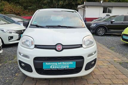 Fiat Panda 97.624 km 5.990 &euro; Bergheim-Niederaußem 50129
