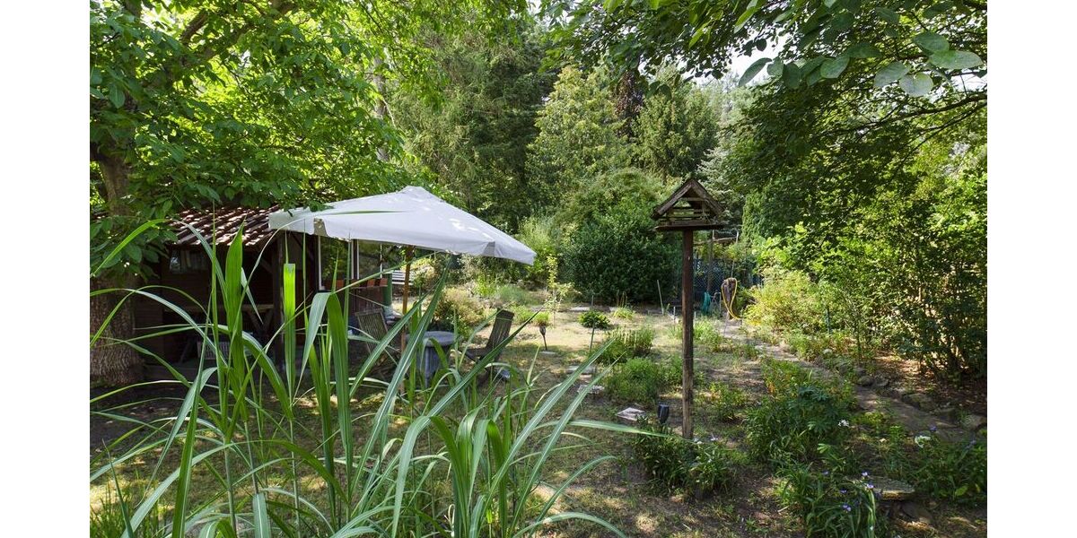 Kleiner wohnen und größer leben – naturnah mit viel Freiraum - Einfamilienhaus Langewahl | Angebot:26014063