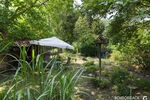 Kleiner wohnen und größer leben – naturnah mit viel Freiraum - Einfamilienhaus Langewahl | Angebot:26014063