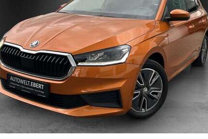 Skoda Fabia 39.600 km 18.690 &euro; Eberbach 69412