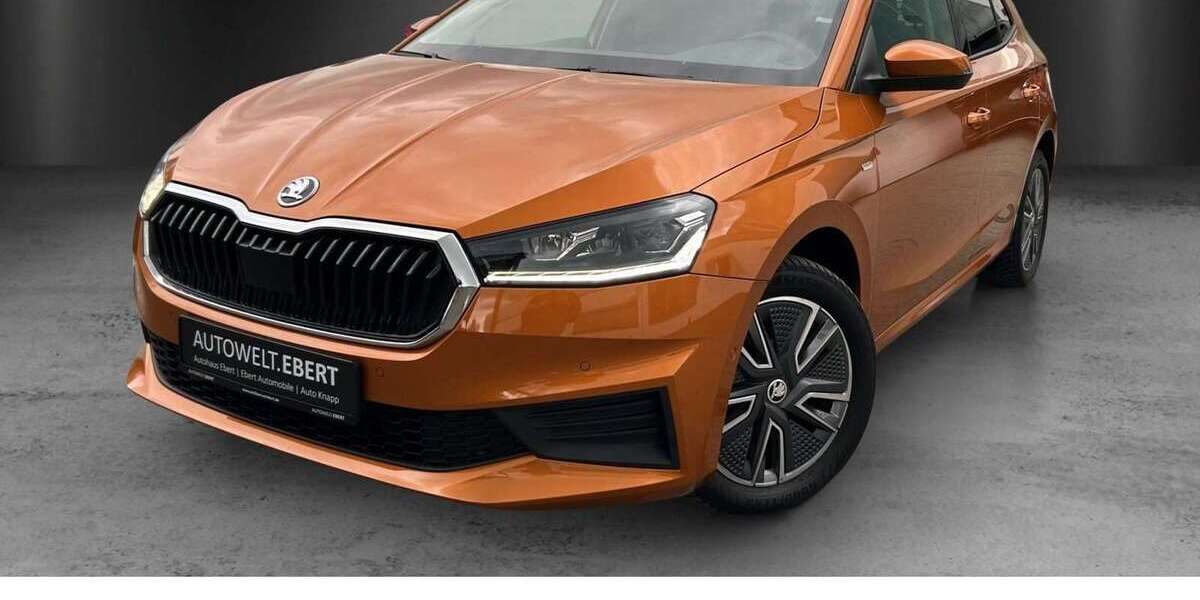 Skoda Fabia 39.600 km 18.690 &euro; Eberbach 69412