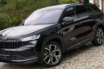 Skoda Kodiaq 28.000 km 45.980 &euro; Schwarzenbach 92720