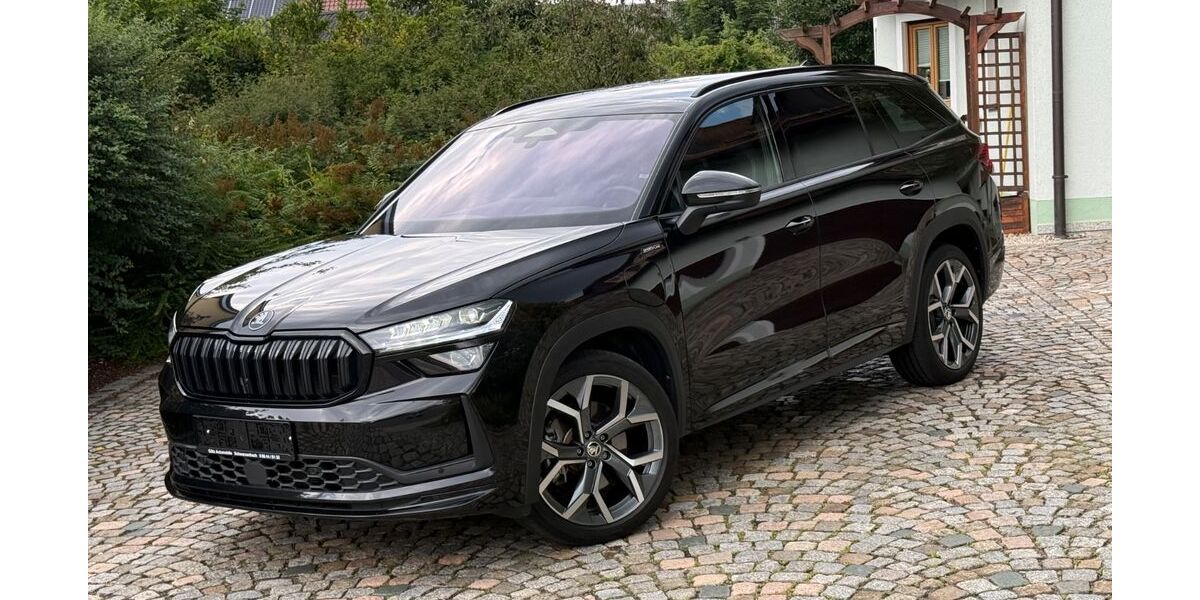 Skoda Kodiaq 28.000 km 45.980 &euro; Schwarzenbach 92720
