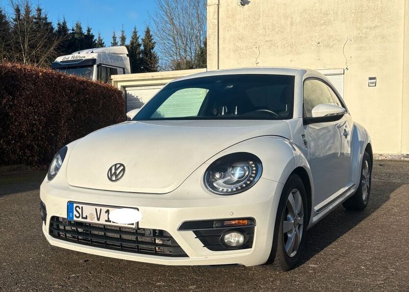 Beetle