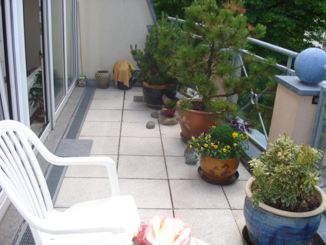 Eigentumswohnung mit TG-Stellplatz in ansprechender Wohngegend! - Dachgeschoßwohnung Gera Alt-Bieblach | Angebot:26586652