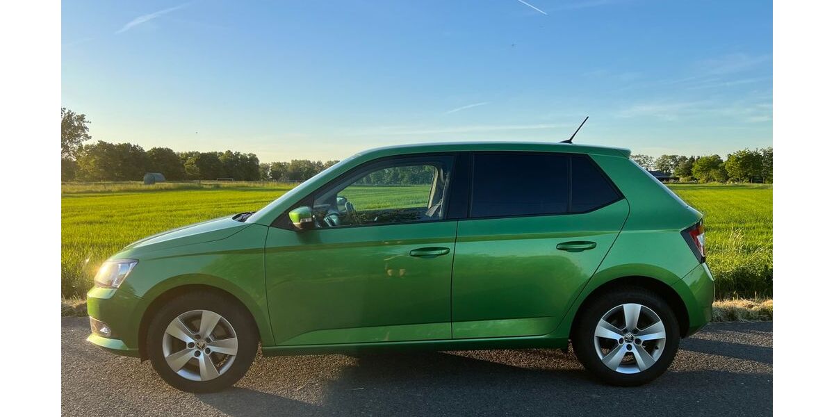 Skoda Fabia 133.100 km 9.300 &euro; Karwesee 16833