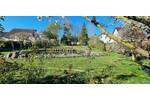 Einfamilienhaus Pasewalk - 4 Zimmer, 138 m&sup2;, 229.000&euro; | Angebot:26766913