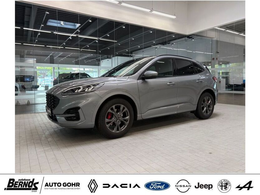 Kuga