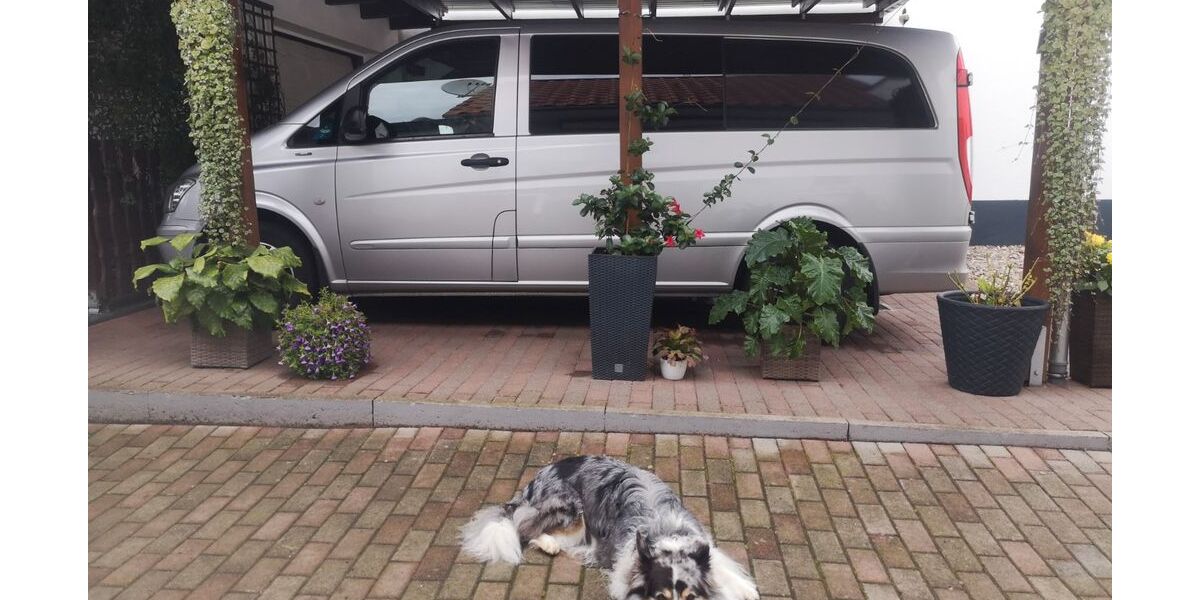 Mercedes-Benz Vito 324.970 km 10.000 € Dudenhofen 67373