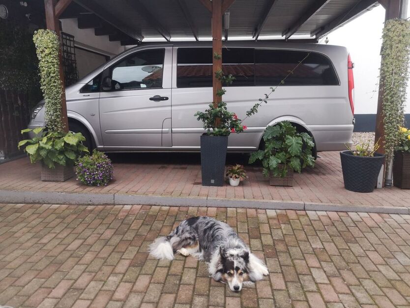 Mercedes-Benz Vito 324.970 km 10.500 € Dudenhofen 67373