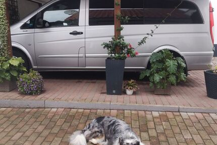 Mercedes-Benz Vito 324.970 km 9.500 &euro; Dudenhofen 67373