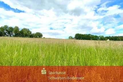 Grundstück Apfeltrach - 82.000&euro; | Angebot:25237910