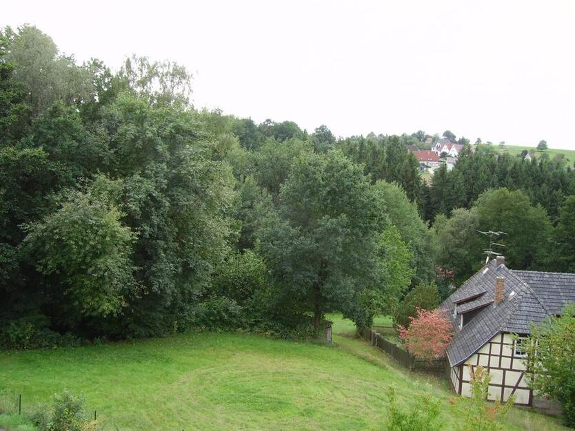 ruhige 2-ZW am Waldrand in Ahorn-Wohlbach