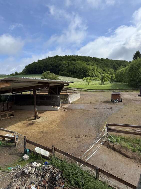 Spezialgewerbe in Dautphetal 169.000 € 820 m²