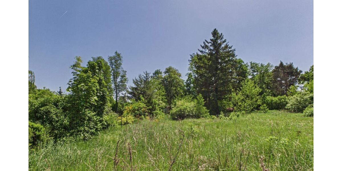 Naturbelassenes Baugrundstück in Hangelsberg - Morgens Vogelstimmen statt Straßenlärm - Grundstück Grünheide (Mark) | Angebot:26786395
