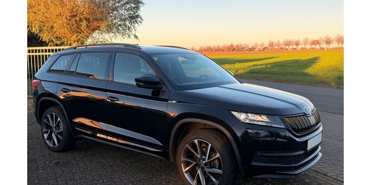 Skoda Kodiaq 106.000 km 25.990 &euro; Ilsede 31241