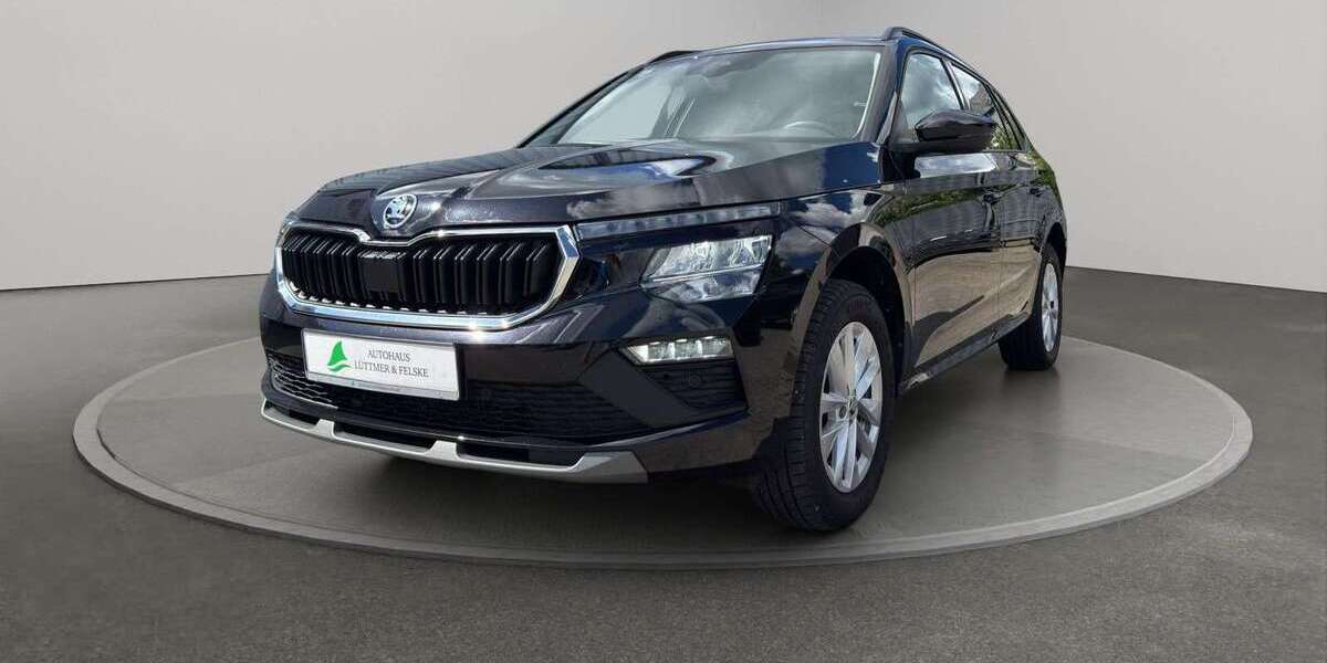 Skoda Kamiq 28.064 km 24.880 &euro; Schleswig 24837