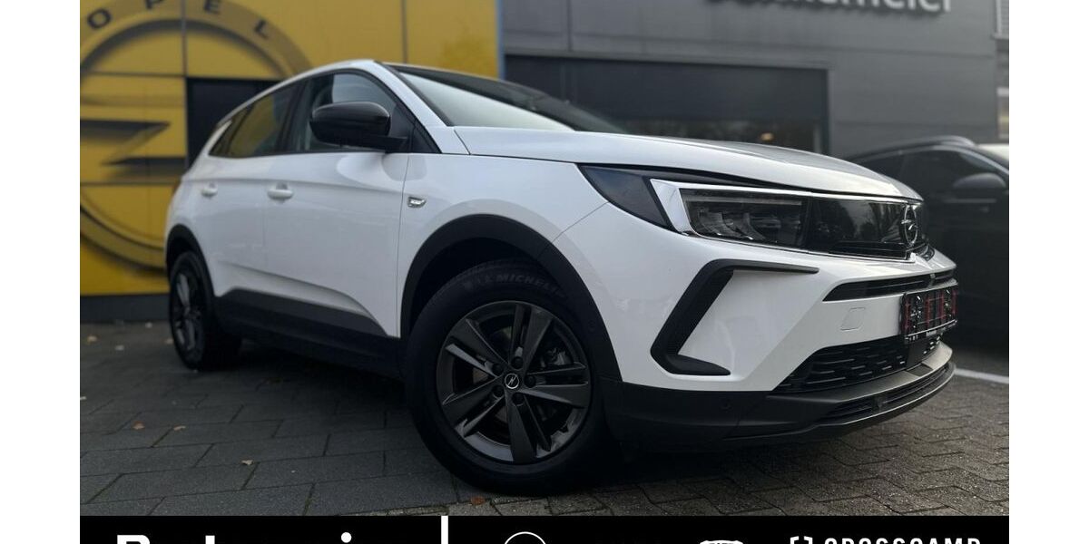 Opel Grandland (X) 60.474 km 17.925 &euro; Steinfurt 48565