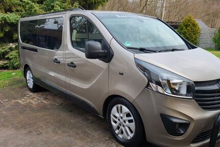 Opel Vivaro 122.712 km 17.000 &euro; Gräfenhainichen 06773