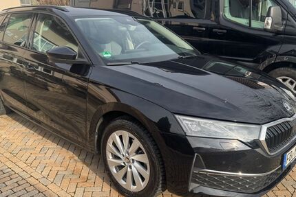 Skoda Octavia 12.600 km 28.390 &euro; Münzenberg 35516