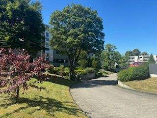 renovierungsbedürftige aber gut geschnittene 3,5 Zimmerwohnung am Detmeroder Teich (grüner Stadtteil von Wolfsburg) 3 zimmer