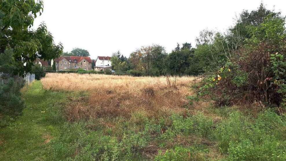 Grundstück zu verkaufen in Halle (Saale)-Radewell-Osendorf 600.000 € 10720 m²
