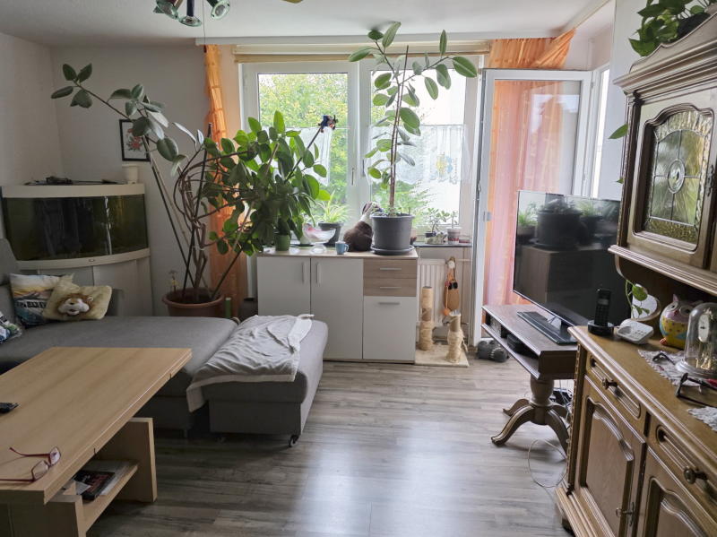 ObjNr:19741 - Ruhig gelegene Etagenwohnung in Kaiserslautern - Etagenwohnung Kaiserslautern | Angebot:22421529