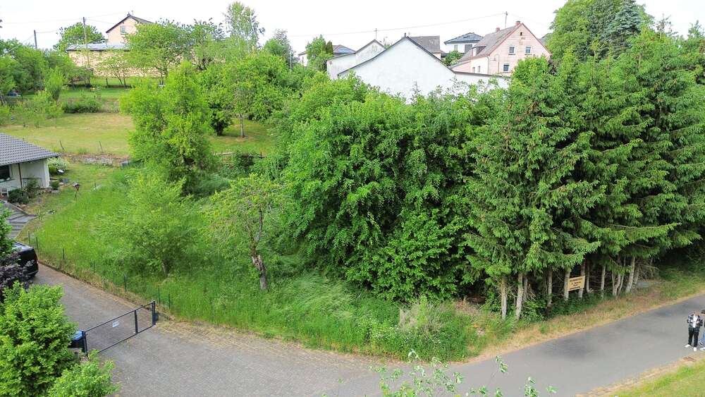 Grundstück Schleid - 25.000&euro; | Angebot:21091285