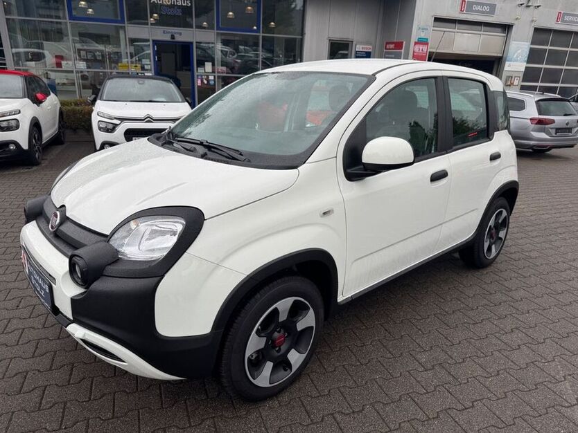 Panda