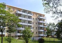 2-Raum-Wohnung mit Wohlfühlfaktor