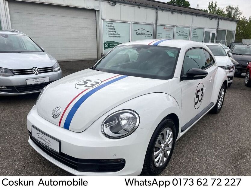 Beetle